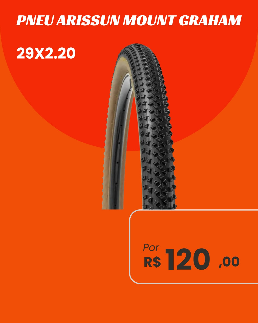 Pneu Arisun Mount Graham 29x2.20 - Performance e Versatilidade