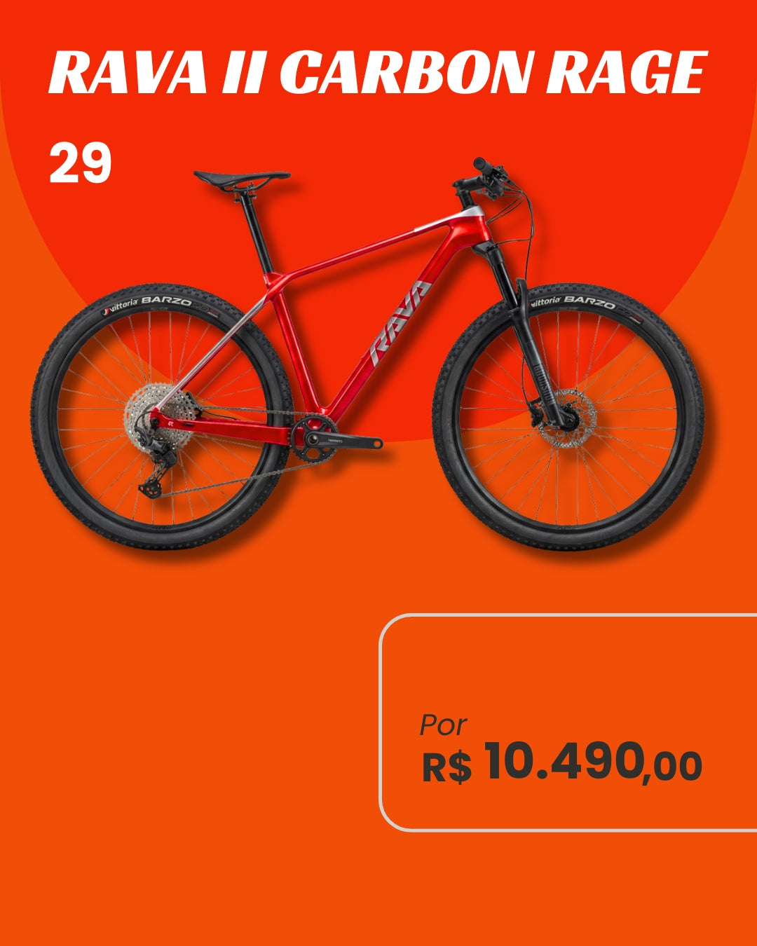 Bicicleta Rava Rage II Carbon 12V Aro 29